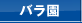 バラ園