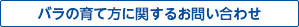 バラの育て方に関するお問い合わせ