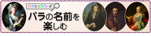 バラの名前を楽しむ