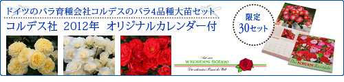 コルデスカレンダー