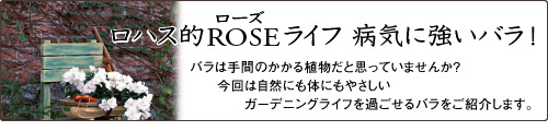 ロハス的ローズライフ企画