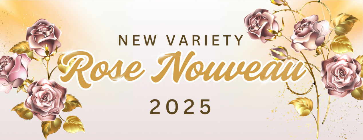 2025新品種 ROSE NOUVEAU