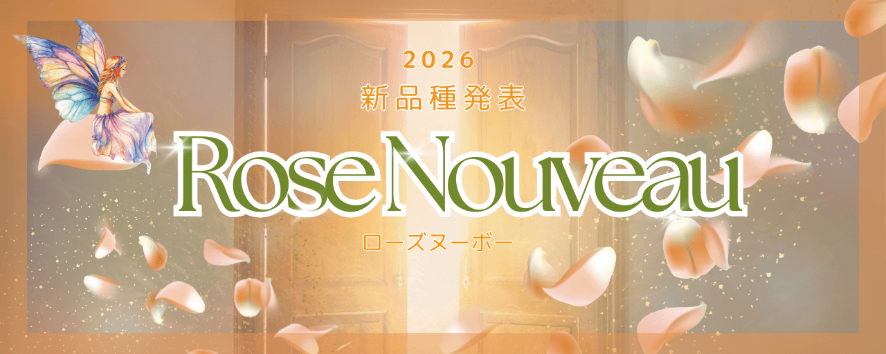 2026新品種 ROSE NOUVEAU