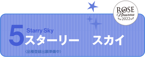 Starry Sky スターリー　スカイ＜品種登録出願準備中＞