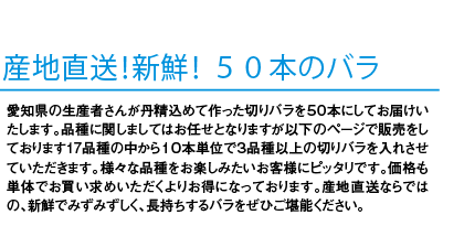 京成バラ園】バラの通販