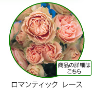 ロマンティック　レース