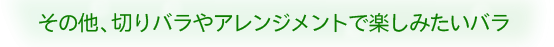 ローマ バラ国際コンクール金賞受賞品種