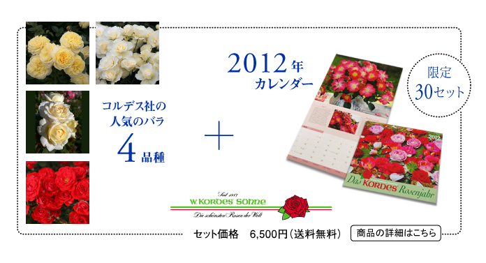 限定30セット2012年カレンダー+コルデス社の人気のバラ4品種