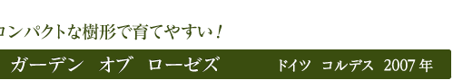 ガーデン　オブ　ローゼズ