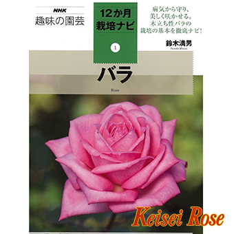 書籍 カレンダー ｎｈｋ趣味の園芸 １２か月栽培ナビ １ バラ 京成バラ園芸ネット通販