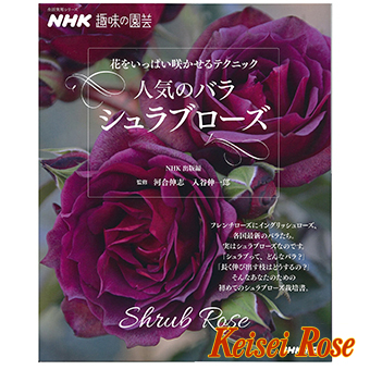 書籍 カレンダー ｎｈｋ趣味の園芸 人気のバラ シュラブローズ 京成バラ園芸ネット通販