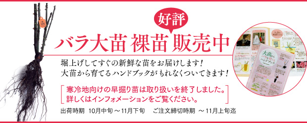 京成バラ園芸ネット通販 バラ苗 鉢バラ ガーデニング資材の通信販売