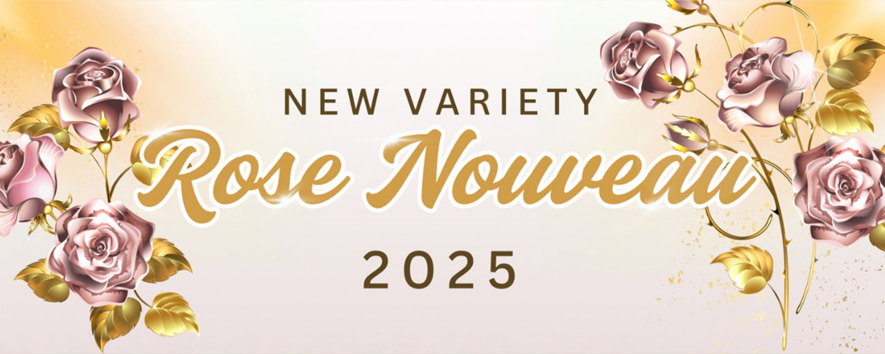 2025新品種
