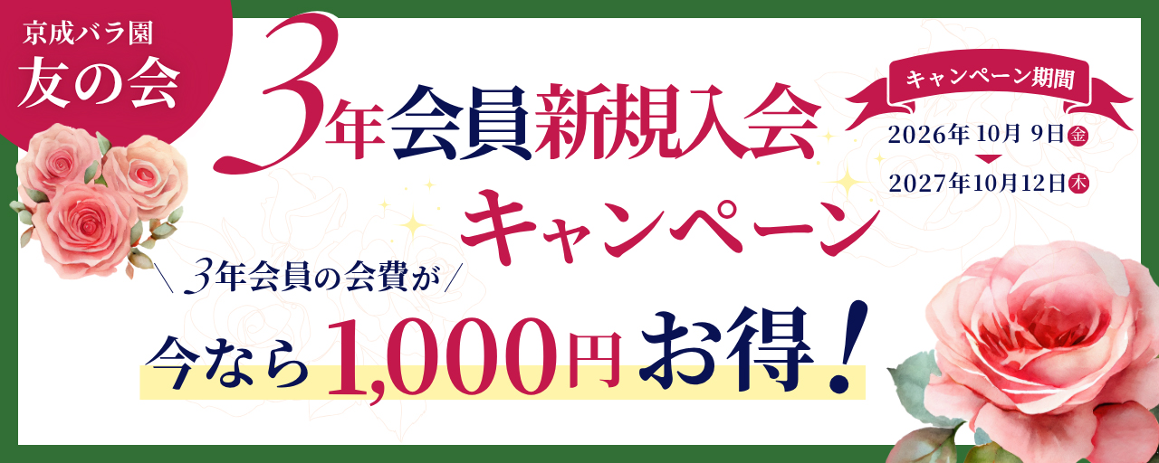 3年会員新規入会キャンペーン
