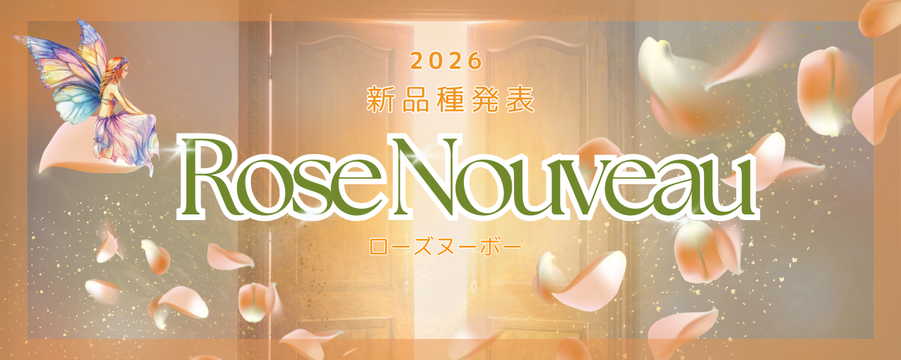 2026新品種